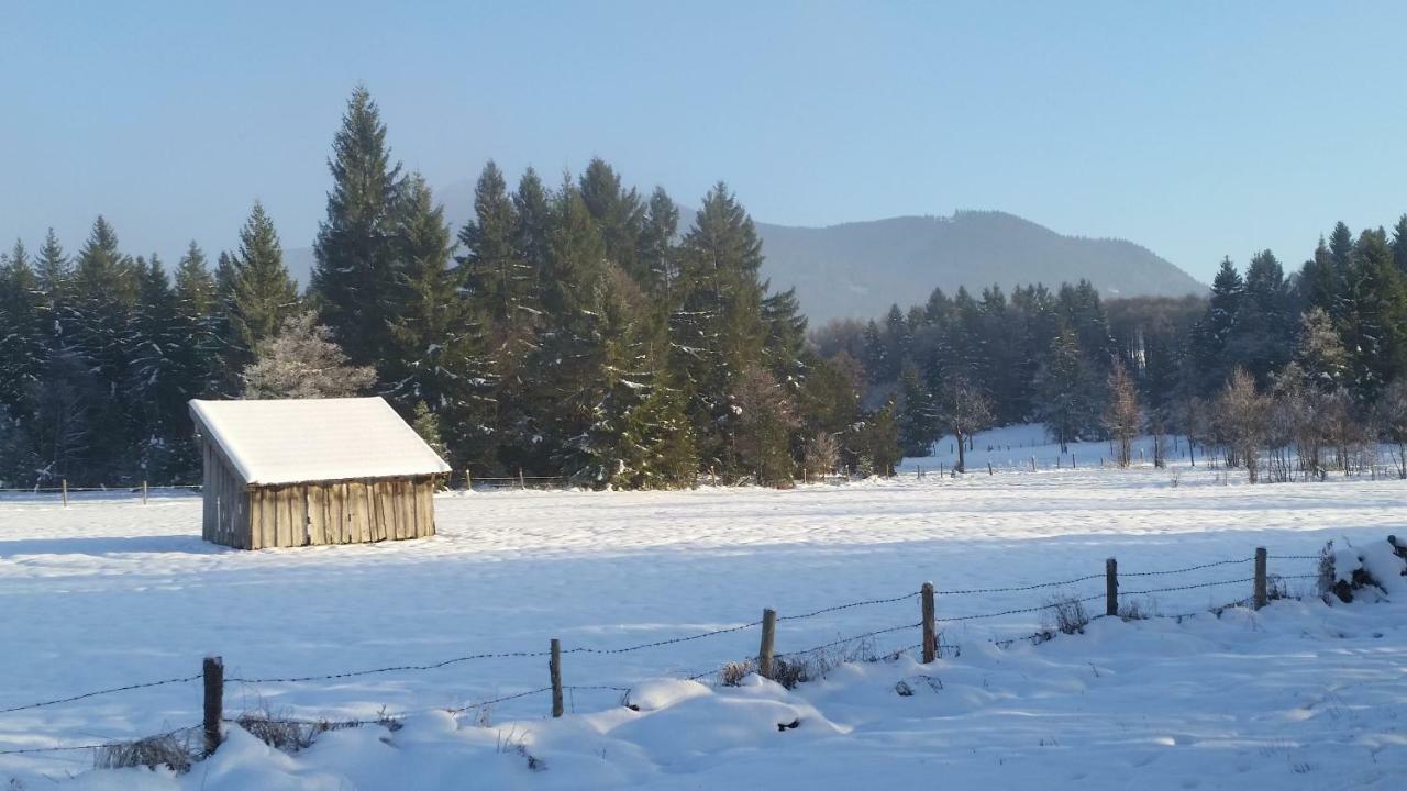 Im-Oberland - Tal - Apartment Bad Kohlgrub Bagian luar foto